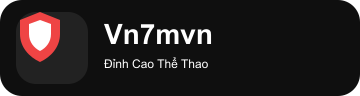 vn7mvn.com Logo